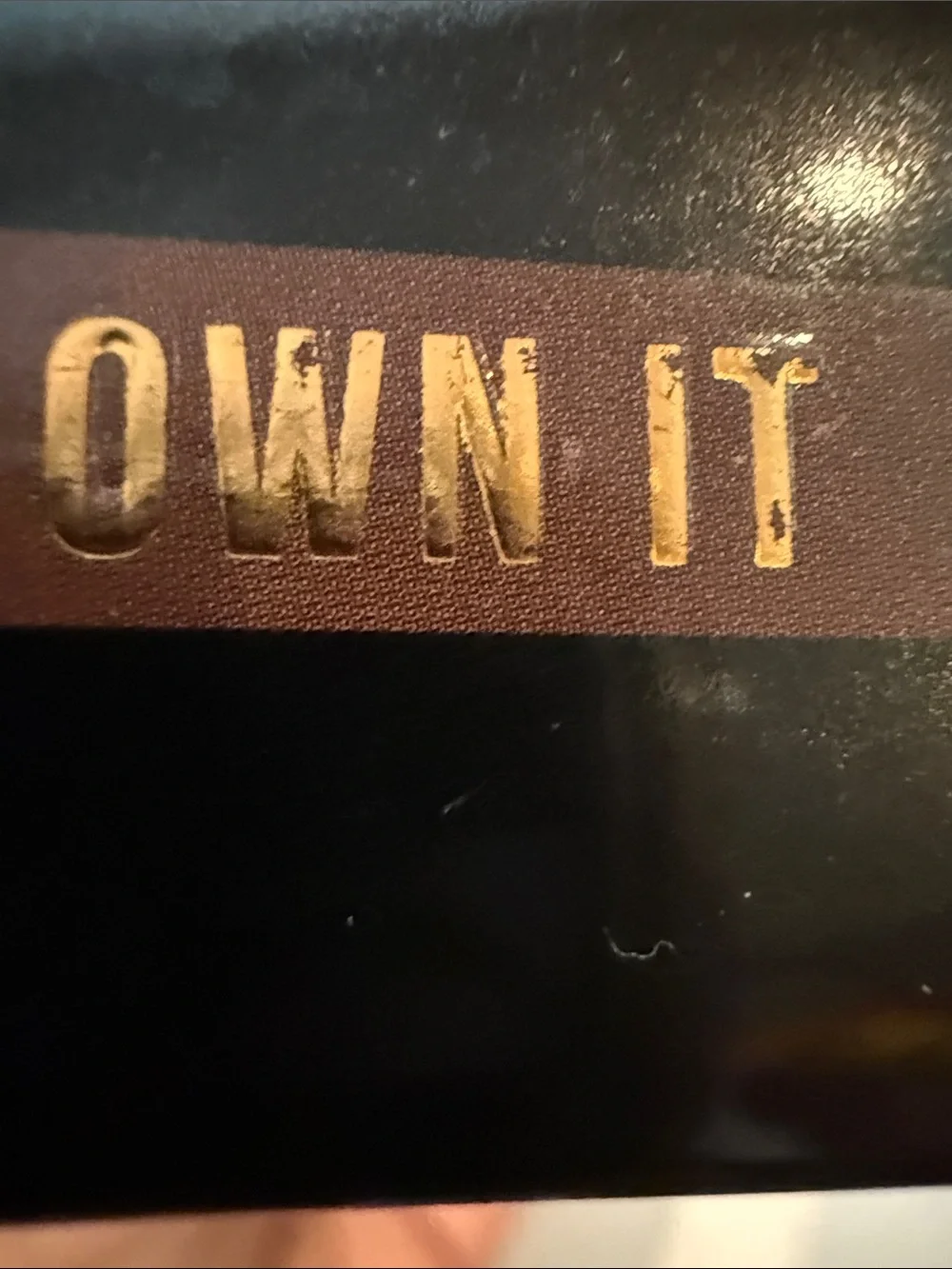ACE BEAUTE Pout Perfect Liquid Lipstick - OWN IT